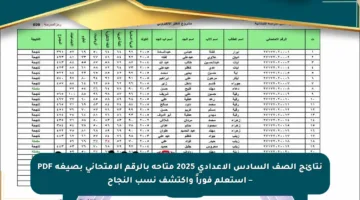 نتائج الصف السادس الإعدادي 2025 متاحة بالرقم الامتحاني بصيغة PDF – استعلم فوراً واكتشف نسب النجاح